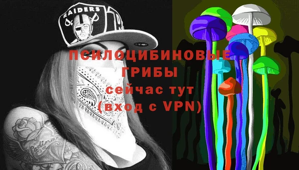 прущие крисы Армянск
