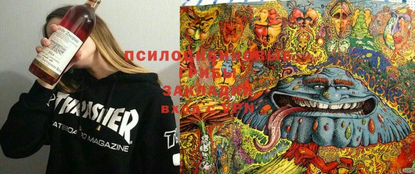 прущие крисы Армянск