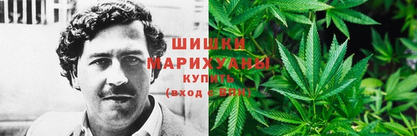 прущие крисы Армянск